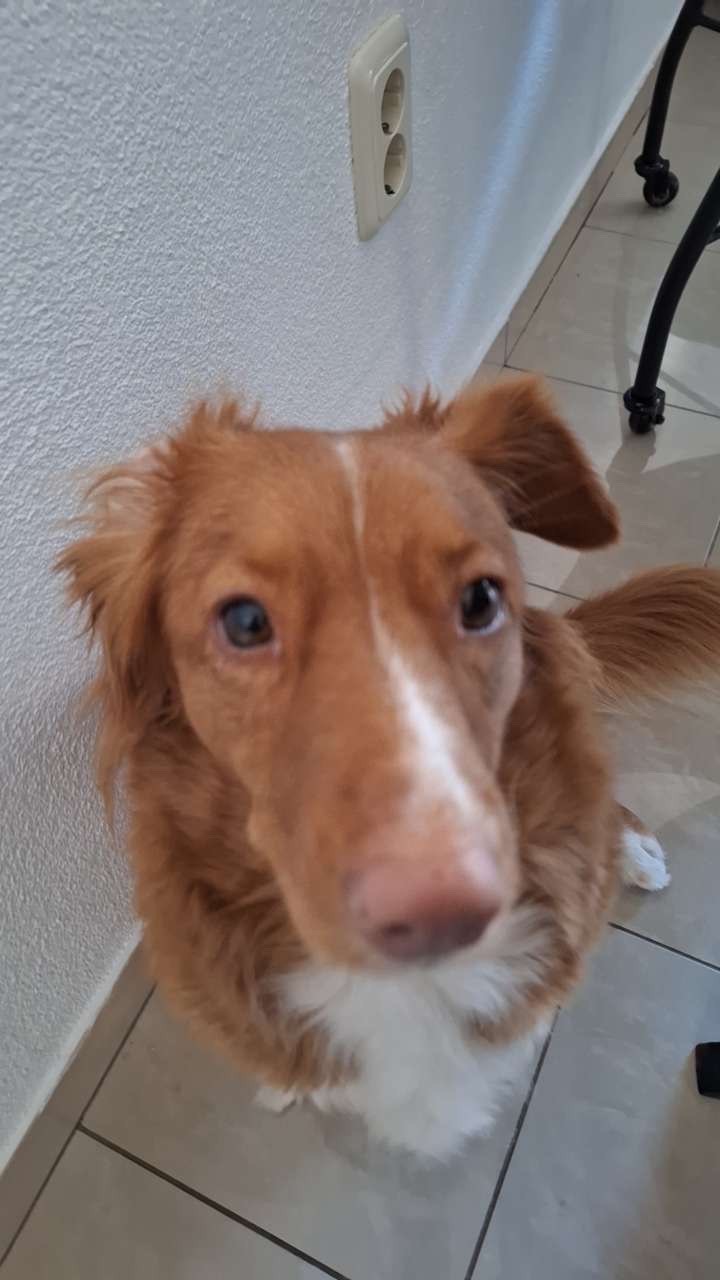 The Batman - Part II